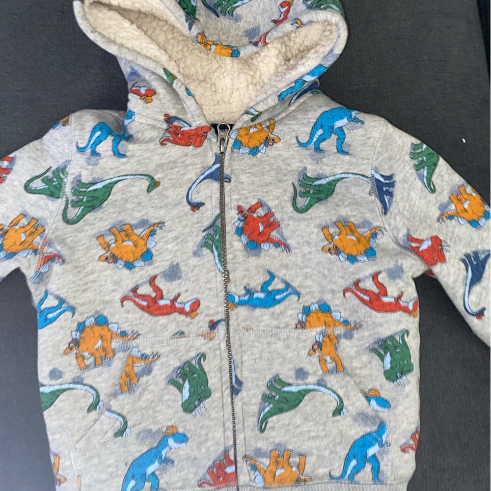 Children Place dinosaur sweater